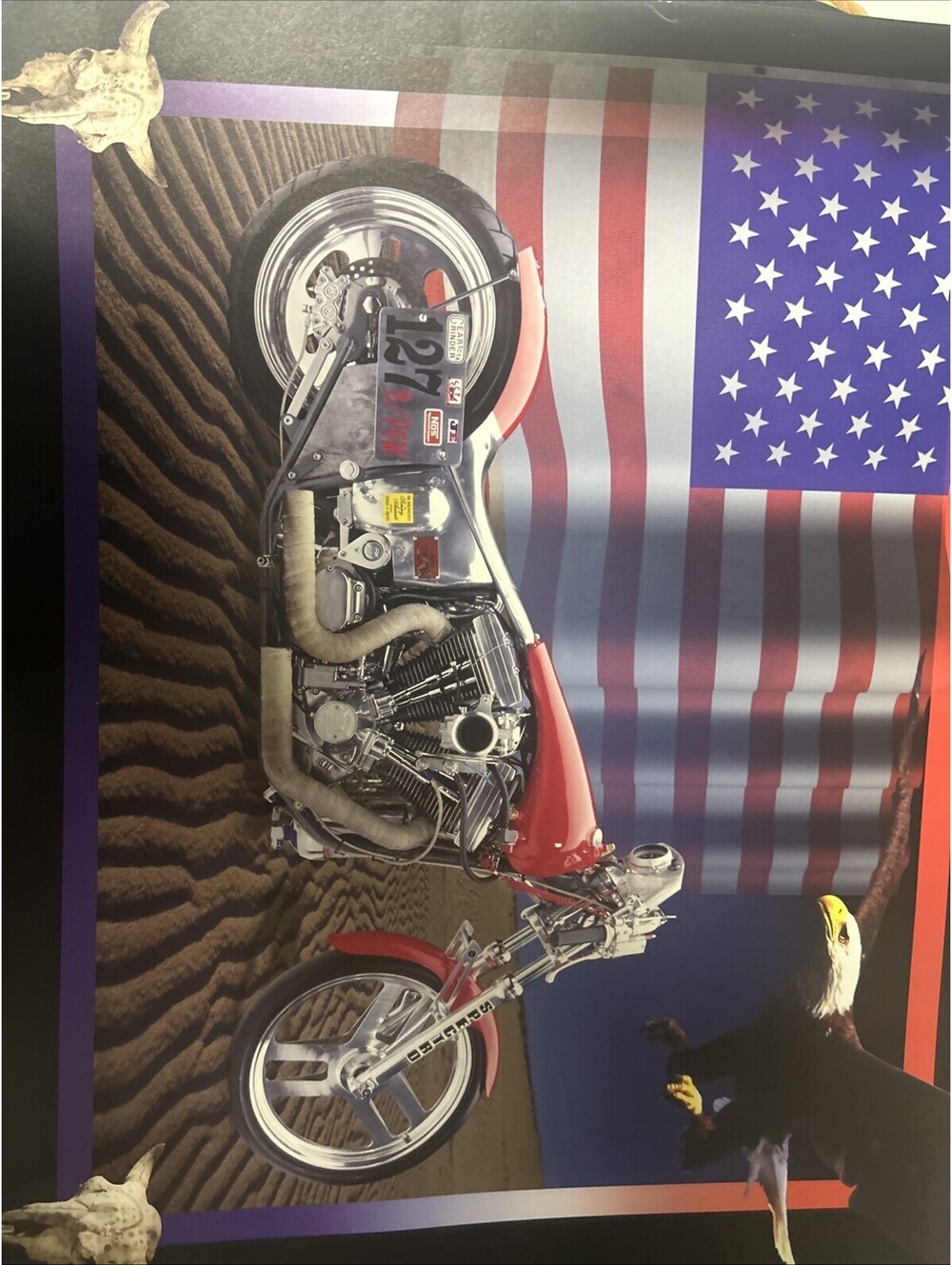 Motorcycle Poster Impact Images 16x20 Bald Eagle